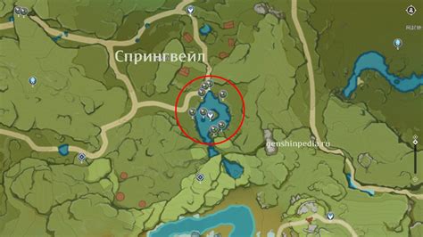 Лилия калла. Где найти и как лучше фармить - Genshin Impact - Гайды и ...