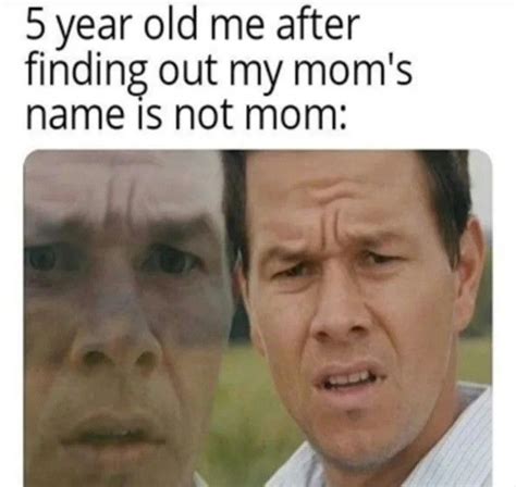 9 Best Meme Pictures Without Words - Perfect Template Ideas