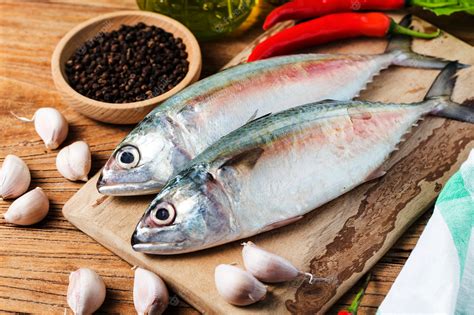 Premium Photo | Indian mackerel rastrelliger kanagurta