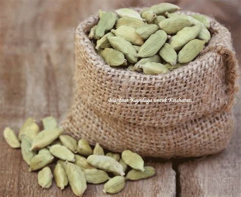14 Manfaat Kapulaga untuk Kesehatan - BAMS