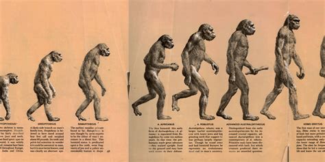 The Origin Of Species - The Geecologist