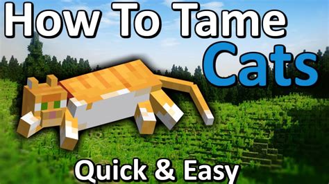 How to Tame a Cat Minecraft | Quick & Easy! - YouTube