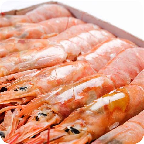 Магазин рыбы и морепродуктов |Рыба в сети