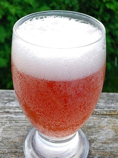 What's Kefir Soda? - Cutting Edge Cultures