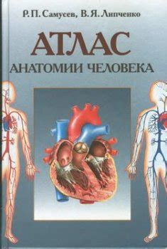 Книга "Атлас анатомии человека" - Самусев Рудольф Павлович, Липченко ...