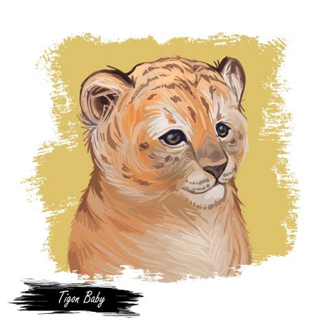 Tigon Baby Tabby Animal Watercolor Portrait in Closeup. Animalistic ...