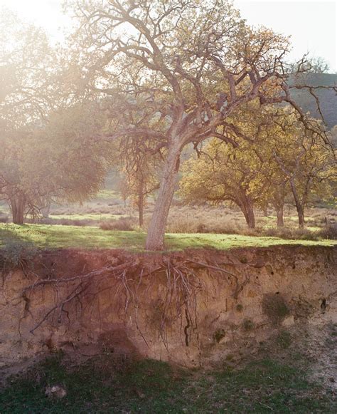 rift zone ian tuttle photographer