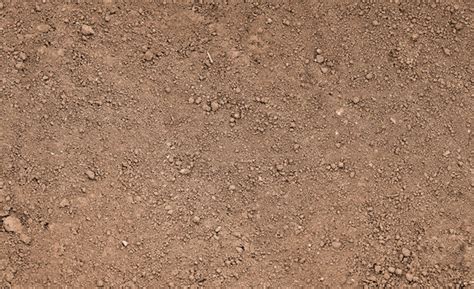 ground  adobe stock