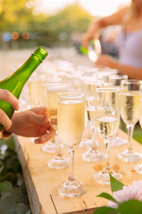 The Theory Of Catering 4