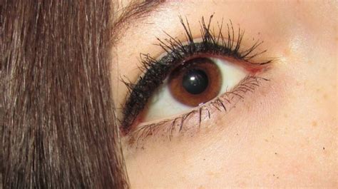 terungkap  bermata biru  bumi memiliki nenek moyang  sama