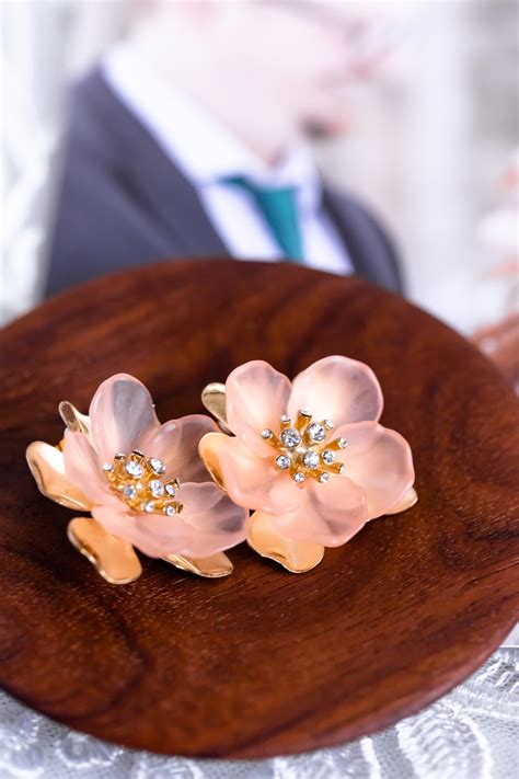 boojum tree hidden garden 9