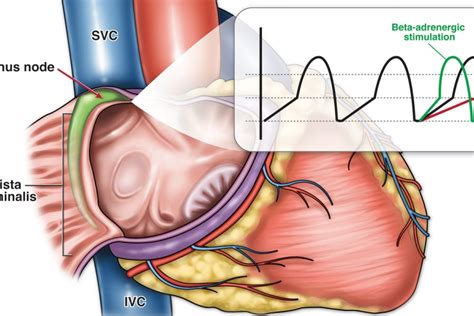 media solutions  art science meet uwmadison