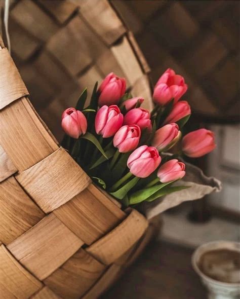 Красивая картинка; красиво; цветы; эстетика | Fiori, Tulipani, Natura