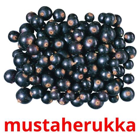Карточки по финскому языку
