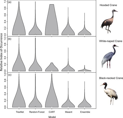 Why choose Random Forest to predict rare species distribution with few
