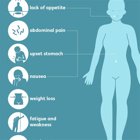 Tapeworm Infection: Signs, Symptoms, and Complications