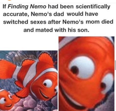 son meme  icecreamwizard memedroid