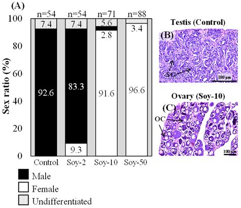 Soy Isoflavones Induce Feminization of Japanese Eel (Anguilla japonica)