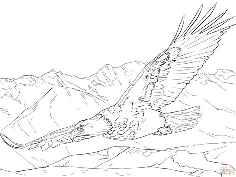 Philadelphia Eagles Coloring Pages Printable at GetColorings.com | Free