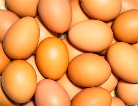 Premium Photo | Chicken eggs