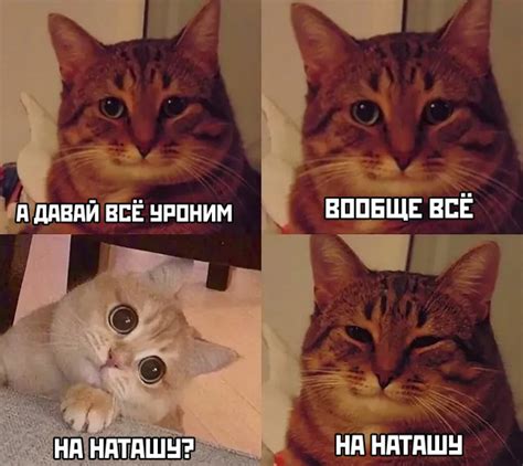 Задание #71 — Наташа, вставай! Мы там всё уронили!: krisor — LiveJournal