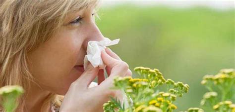 Alergijski rinitis, simptomi, preventiva in zdravljenje - Zdravstvena.info