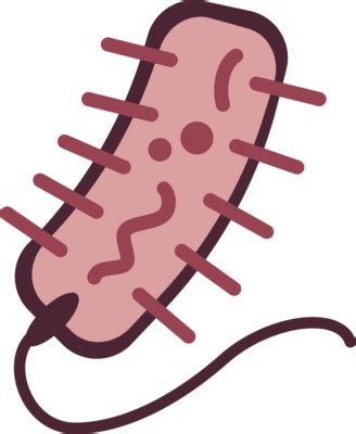 Microorganism PNGs for Free Download