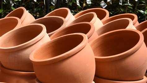 Pots - Peards Nursery