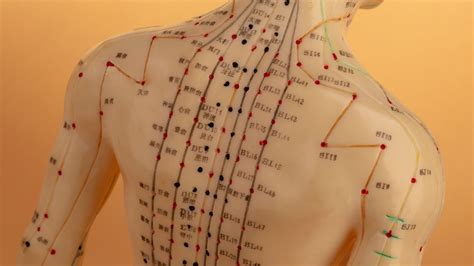The Basics of Acupuncture Points - Merckling Family Chiropractic
