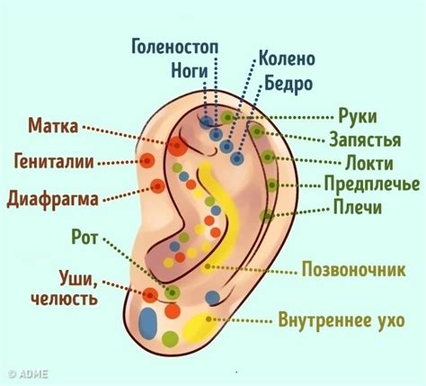 Узнайте, что ваши уши говорят о вас