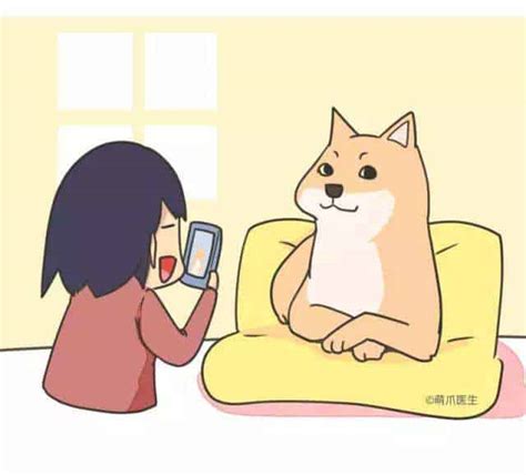favourite chinese internet slang phrases