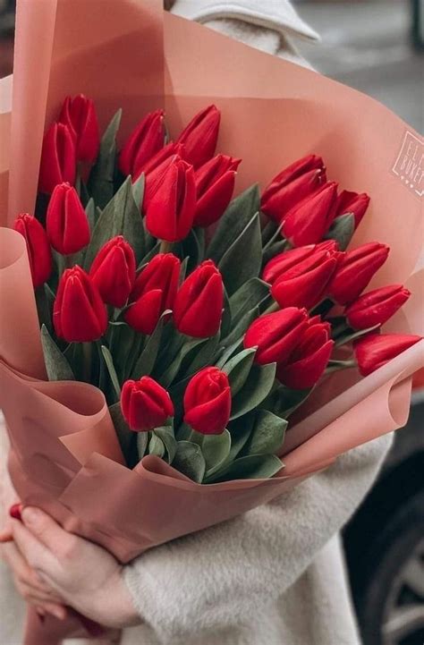 Pin su Quick Saves | Tulipani, Tulipani rossi, Mazzo di fiori