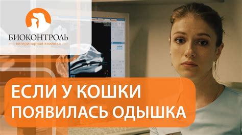 🐱 Одышка у кошки - причины и методы устранения проблемы. Одышка у кошки ...