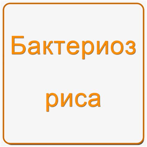 Бактериоз риса - AgroFlora.ru