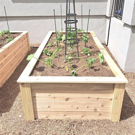 Garden Assessments — Texas Raised Gardens