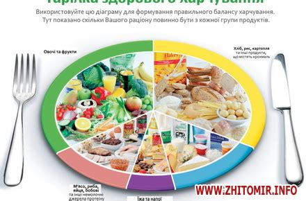 Житомир.info | Житомирянам розповіли, як повинна виглядати «тарілка ...