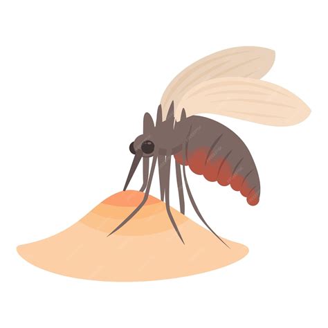 Premium Vector | Mosquito spreading malaria disease by biting skin