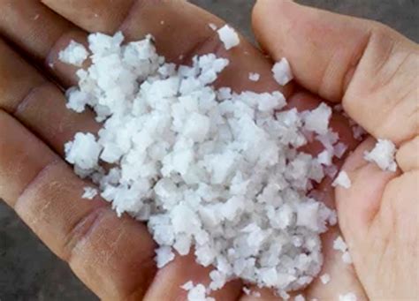 garam kasar kampustanicom