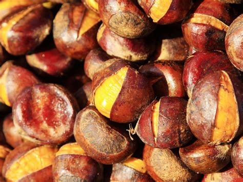 Buah Berangan & Nutrients | theAsianparent