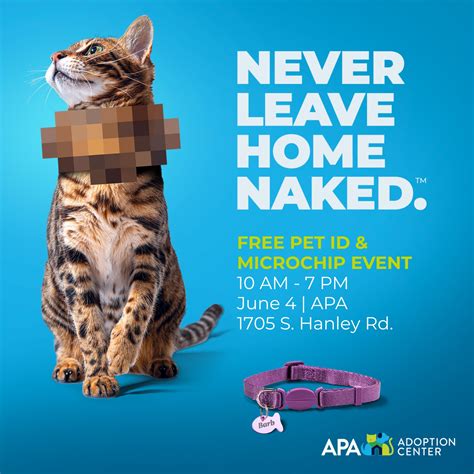 Animal Protective Association of Missouri (APA) | Brentwood MO