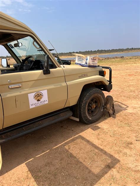 Gallery - Serengeti Safari Tour