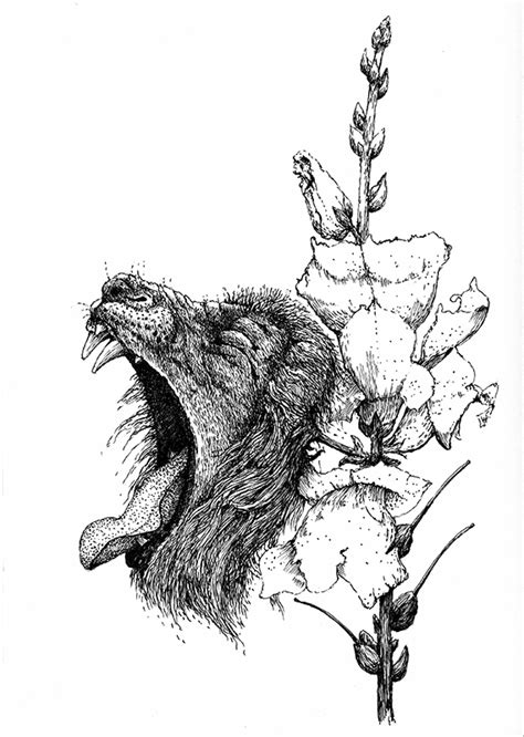 Antirrhinum on Behance
