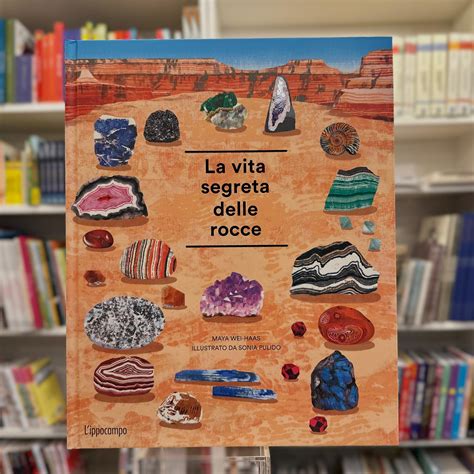 LA VITA SEGRETA DELLE ROCCE – Libreria Spazio Libri La Cornice