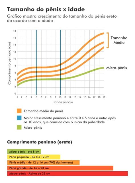 Com Quantos Anos O Penis Para De Crescer