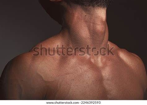 man body neck muscles  dark stock photo  shutterstock