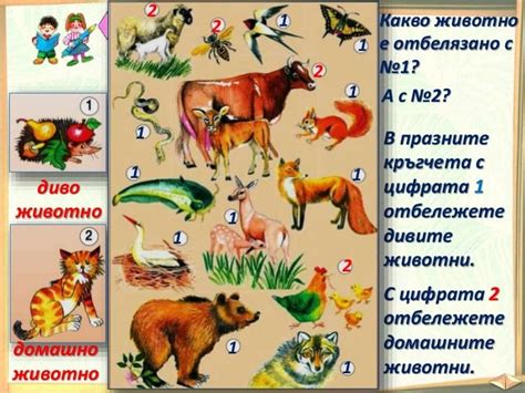 13. Диви и домашни животни - РК, Просвета - В. П.