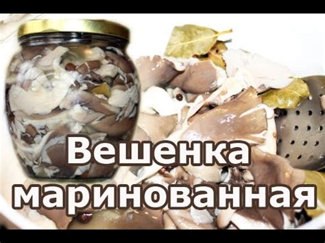 Вешенки маринованные: как замариновать грибы по простому рецепту - YouTube