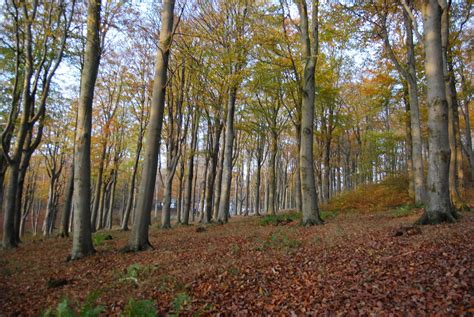 Maps and Landscape - About Ladonia - Ladonia