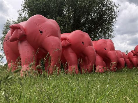 Éléphants roses emblematiques