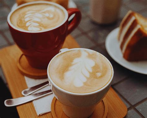 Cortado vs Latte: An Espresso-Based Showdown | Brew Me Like That